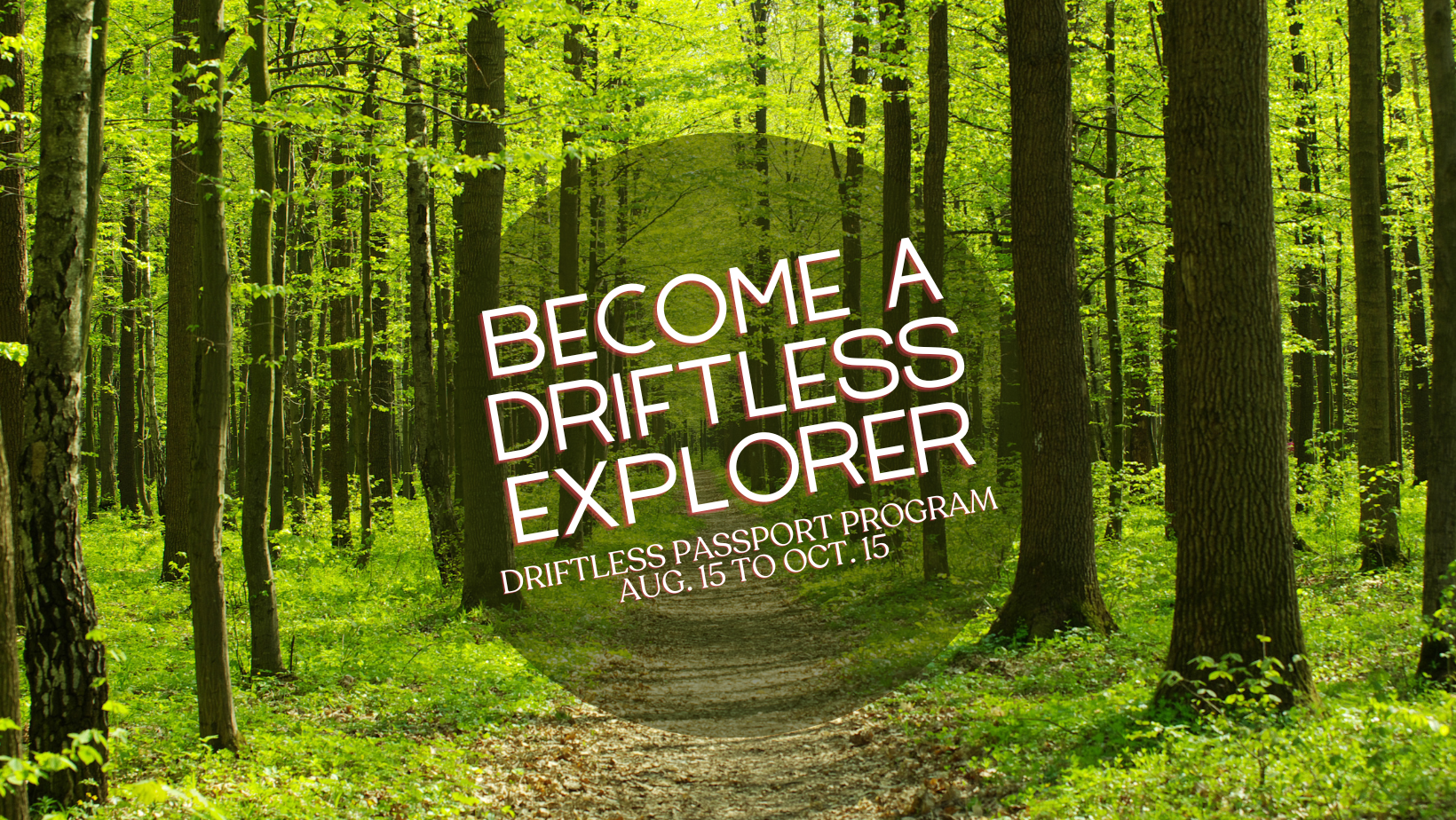 become a driftless explorer with trees in the background