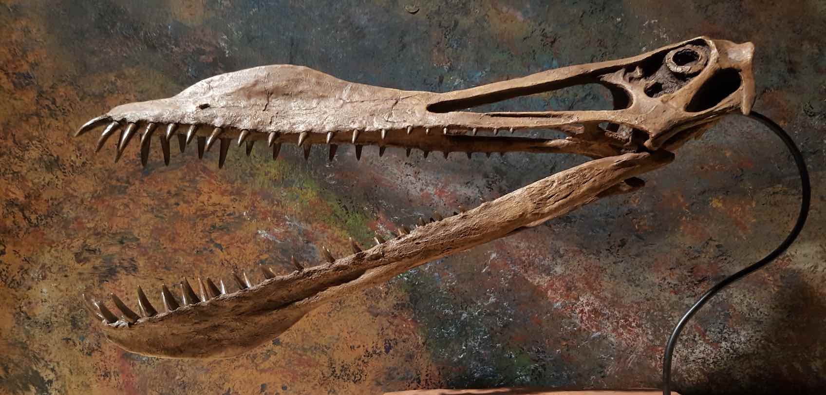 dinosaur king anhanguera