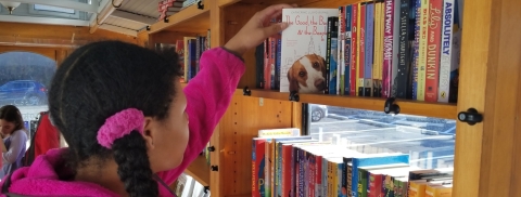 Girl browsing shelf